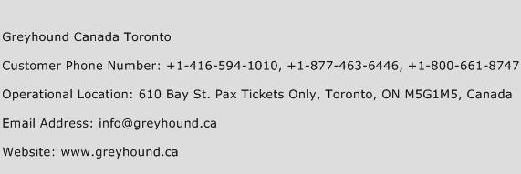 Greyhound Canada Toronto Phone Number Customer Service